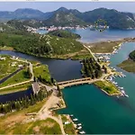 Penovic * 布拉采