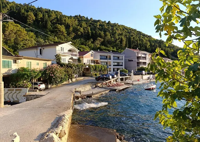 Penovic 아파트 블라체