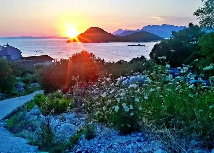 Penovic 아파트 블라체